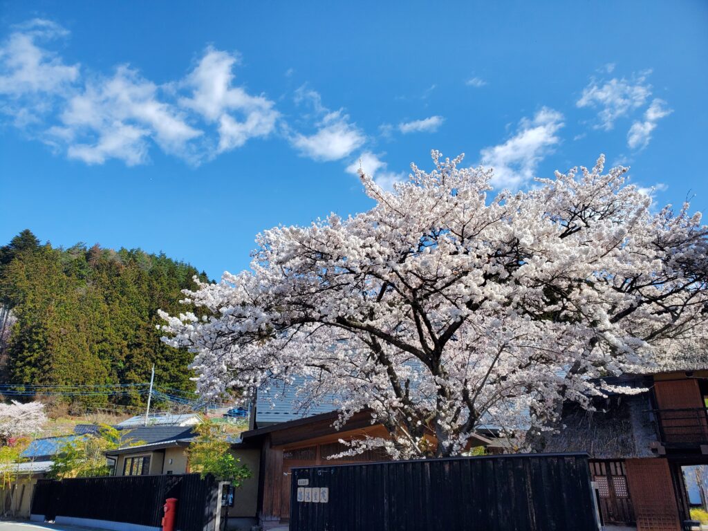 kawaba